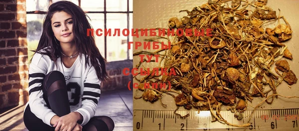 a pvp Алексеевка