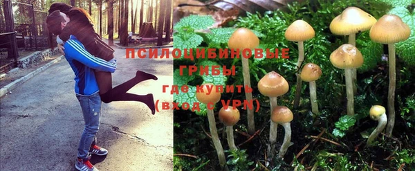 тгк Алзамай