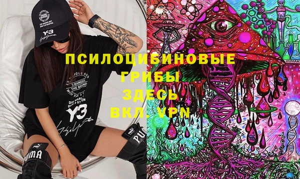тгк Алзамай