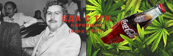 тгк Алзамай