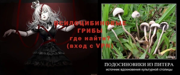 a pvp Алексеевка
