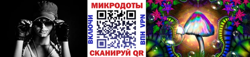 Галлюциногенные грибы Cubensis Гаврилов Посад