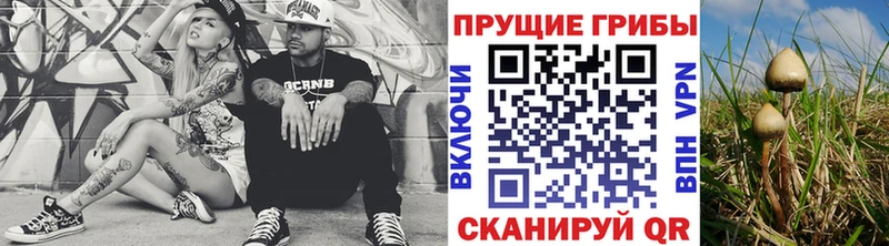нарко площадка телеграм  Гаврилов Посад  Псилоцибиновые грибы Magic Shrooms 